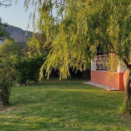 Villa Grecia Liapades Ngoại thất bức ảnh